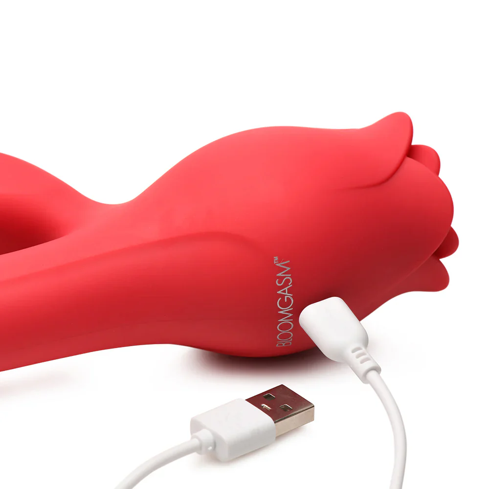 A Rose Toy On One End, A Rabbit Vibrator On The Other - Image 6